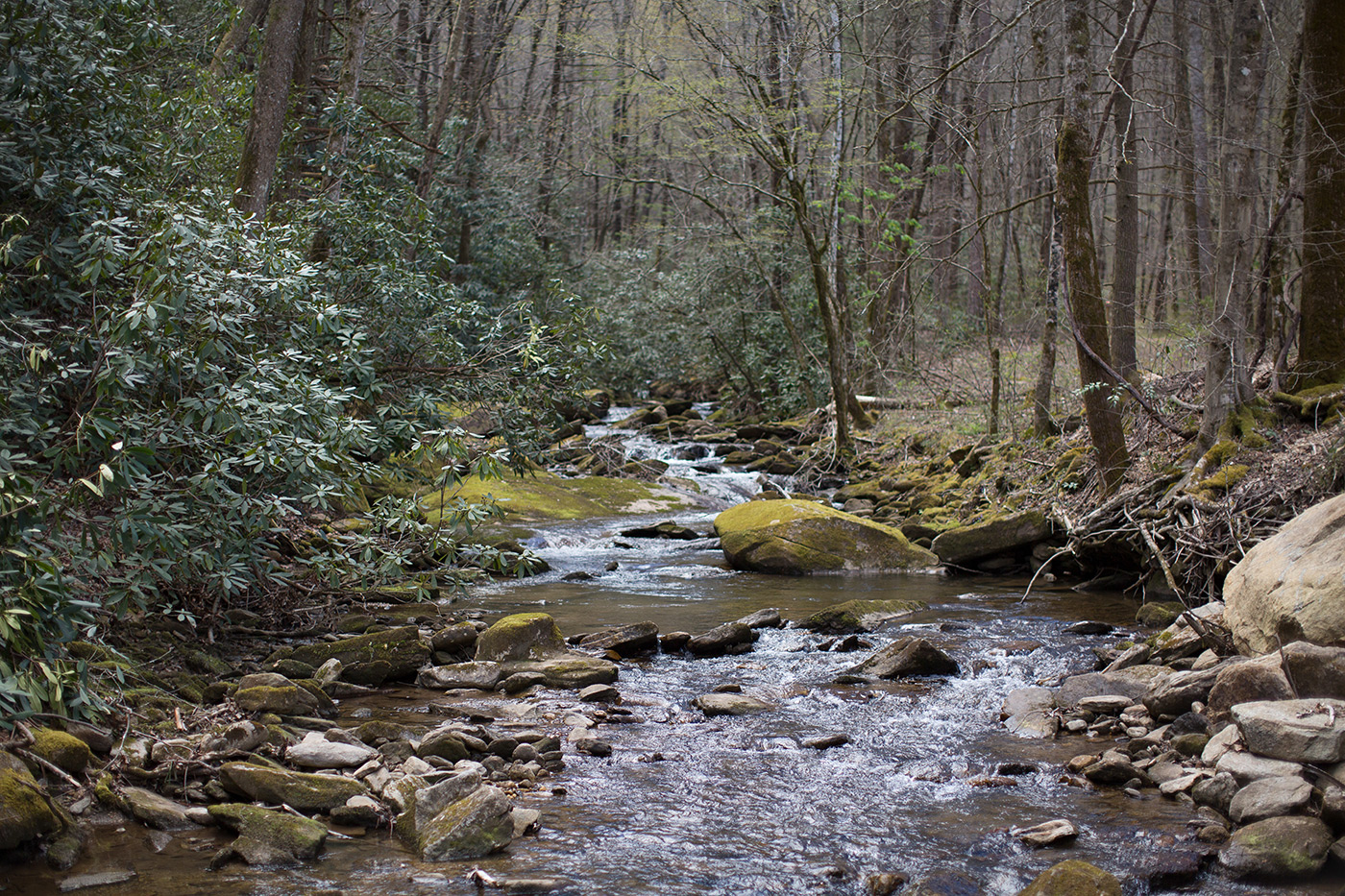 Beautiful River